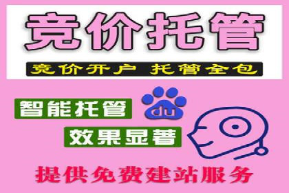 百度竞价与搜索引擎优化（SEO）结合的经典案例